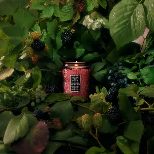 Mini Vela Pote Vidro 50h Foraged Wildberry
