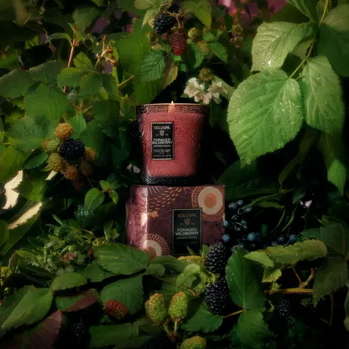 Vela Copo Vidro Classico 60h  Foraged Wildberry