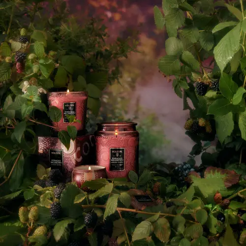 Vela Copo Vidro Classico 60h  Foraged Wildberry