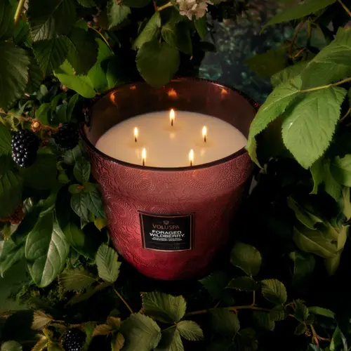 Vela Pote Vidro +250h 5 Pavios Foraged Wildberry