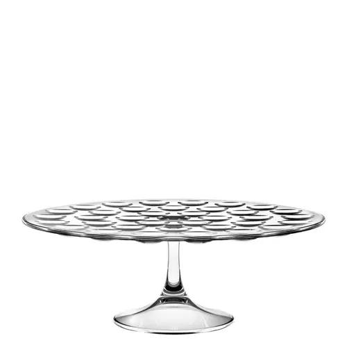 BOLLE CAKE DOME C/ TAMPA