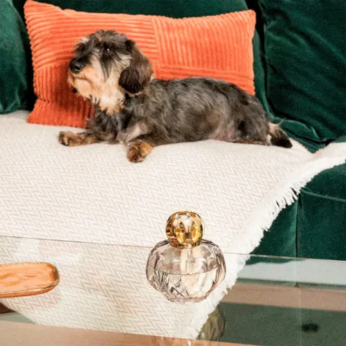 Lamparina Rosalie Grise Lampe Berger